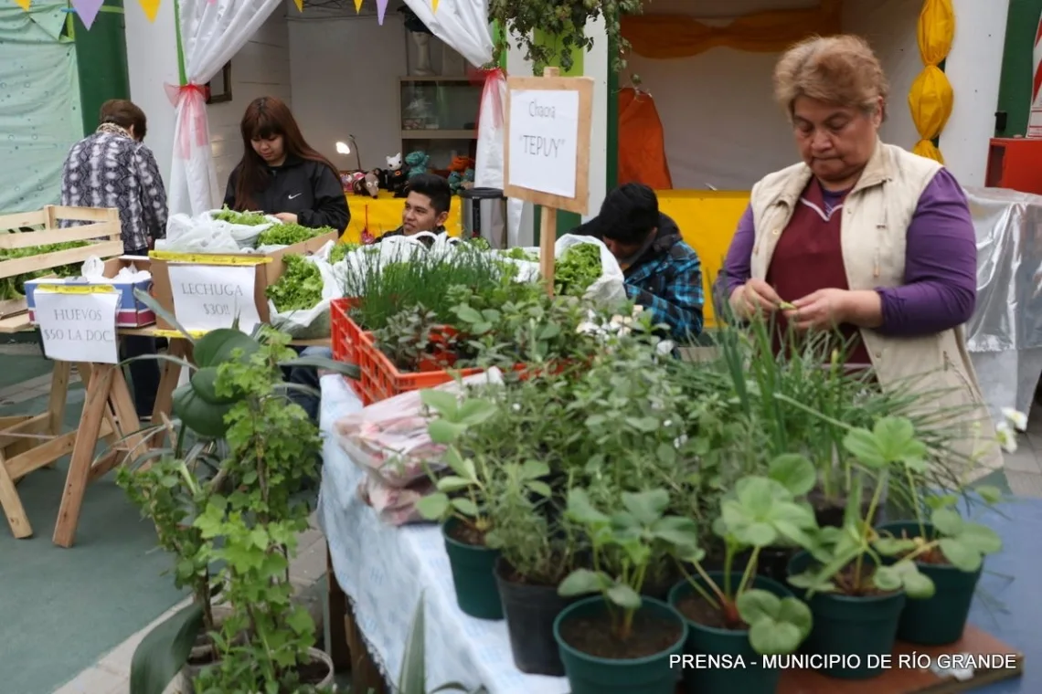 Huertas Urbanas: Este sábado 17 se realizará una feria de productos locales