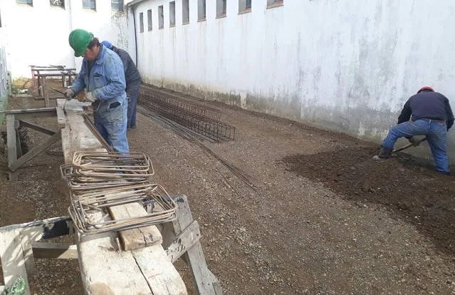 Río Grande tendrá un matadero de faena de porcinos