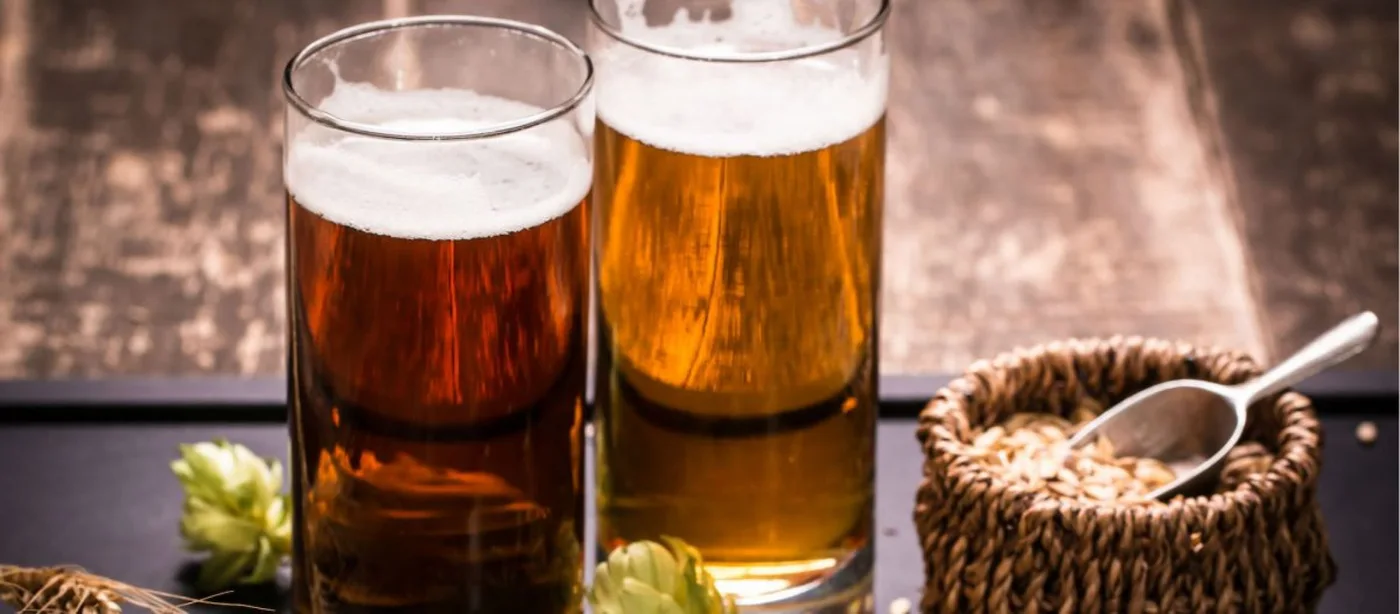 Productores de cerveza artesanal y científicos se reunieron en Esquel
