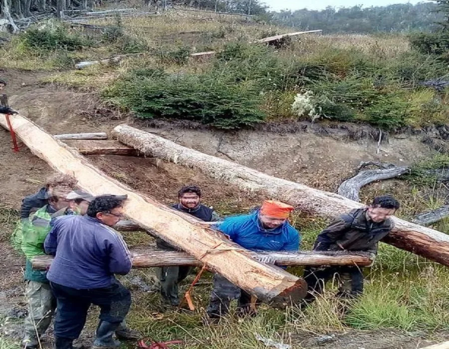 Reserva Corazón de la Isla: Trabajos en la senda "Huellas del Fín del Mundo"