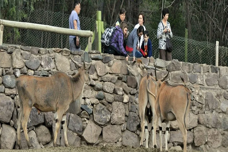 Buscan “adoptantes responsables” para animales del ex zoo de Mendoza