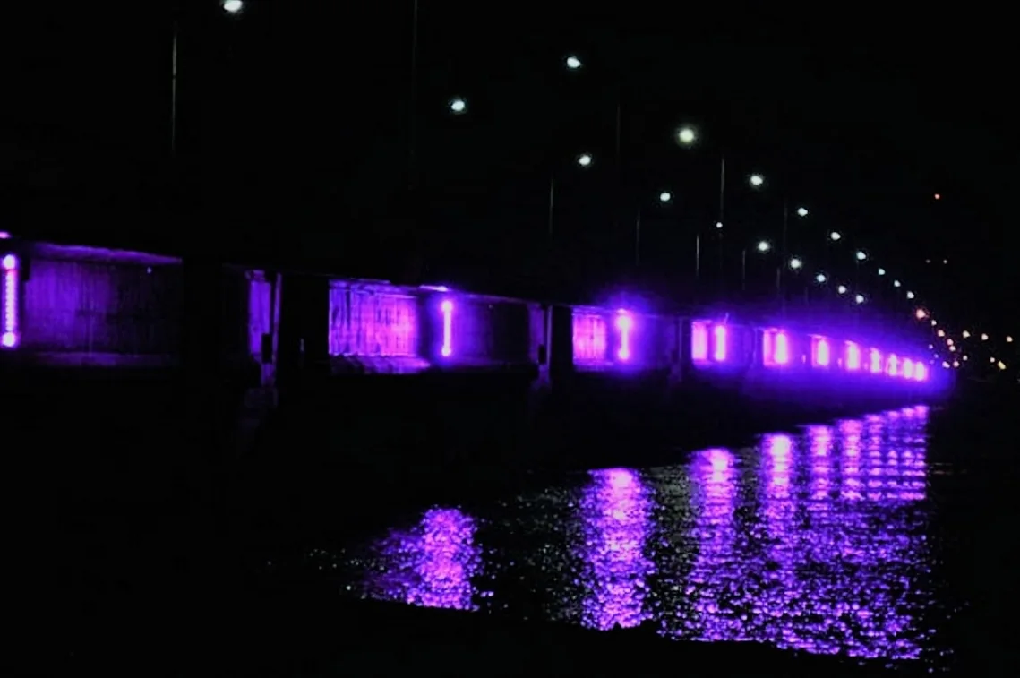 Epilepsia: Piden iluminar de Violeta las dependencias municipales y el Puente Mosconi