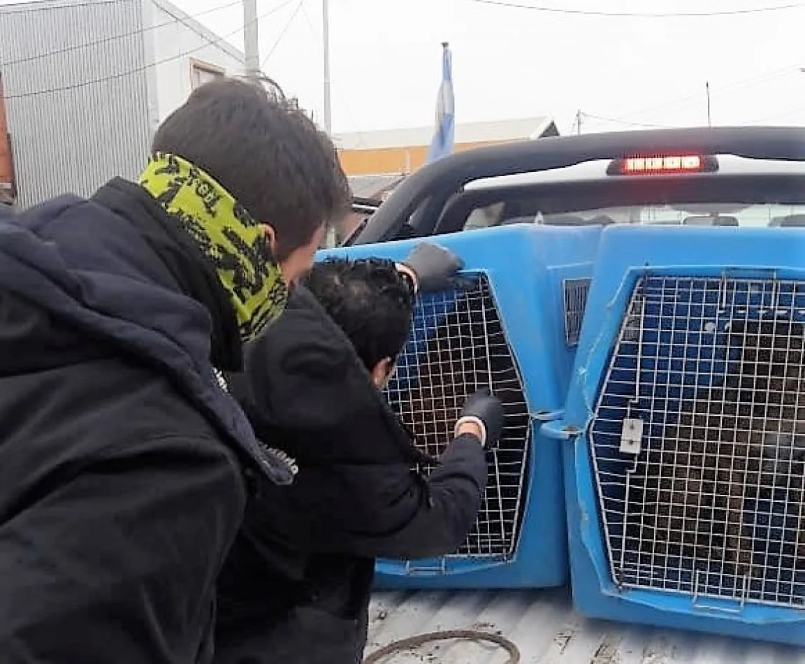 Controles caninos en la vía pública.