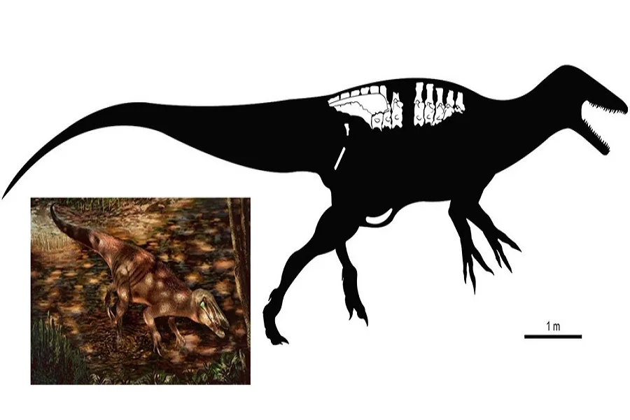 Neuquén: Hallan un dinosaurio con garras gigantes de 85 millones de años