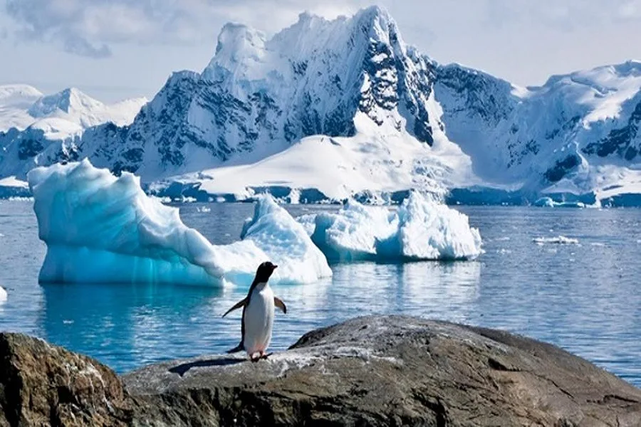 Puertos sorteará pasajes ida y vuelta en crucero a la Antártida Argentina