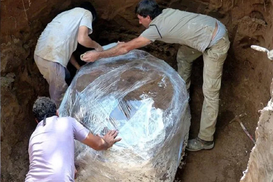 Descubren una familia de gliptodontes de 600 mil años en San Pedro