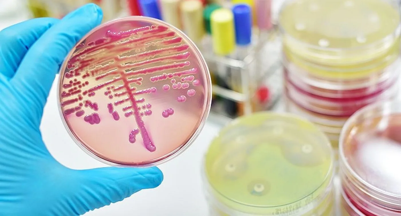 Un nuevo antibiótico para infecciones graves ya llegó al país