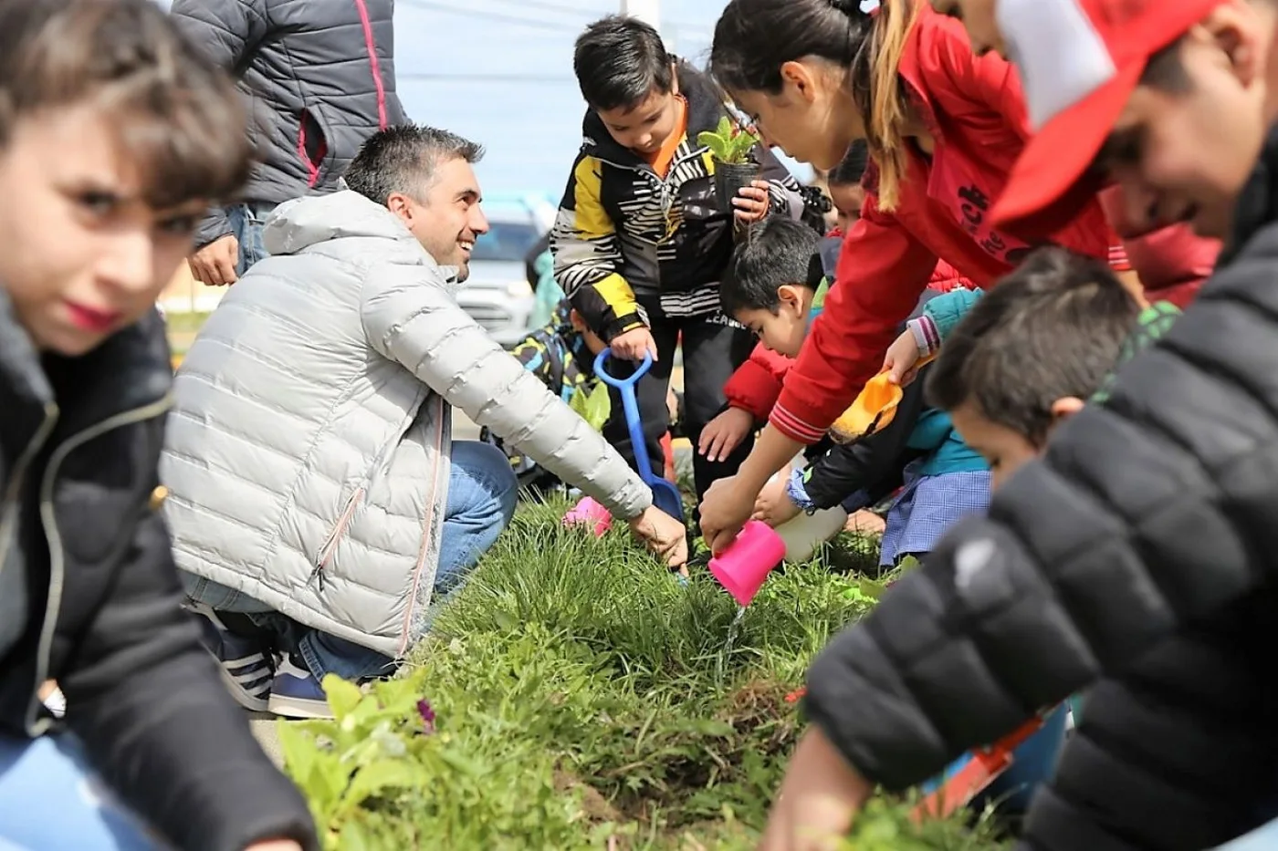 Campaña intensiva para forestar Río Grande y reducir impuestos