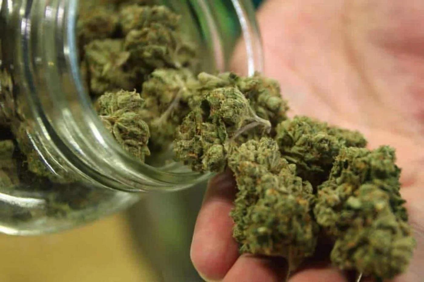 Legisladores buscan normativa propia sobre cannabis medicinal