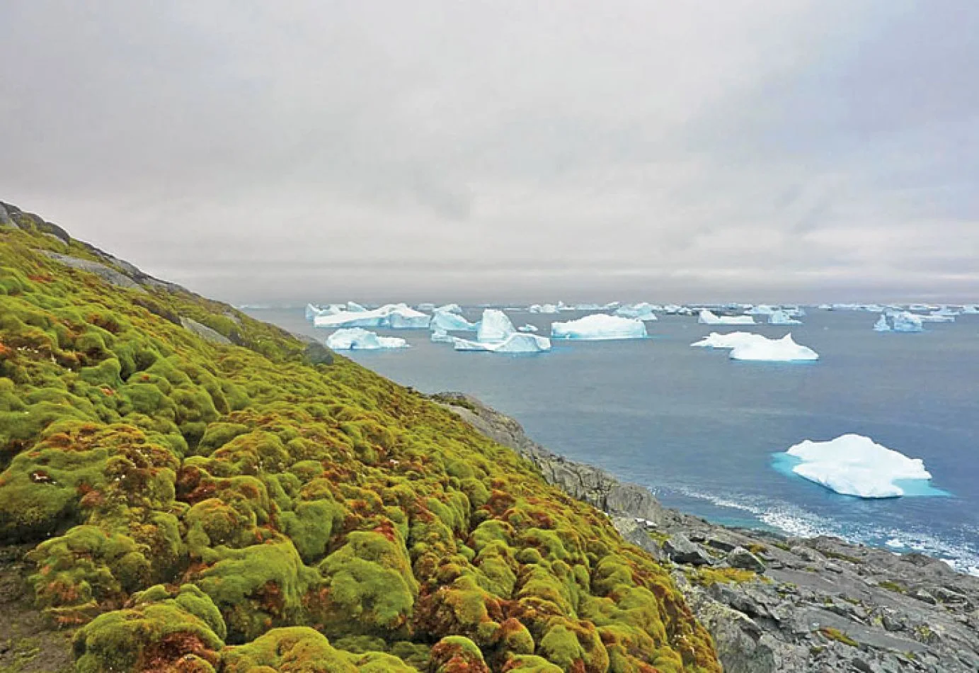 Crearon la Dirección de Cambio Climático