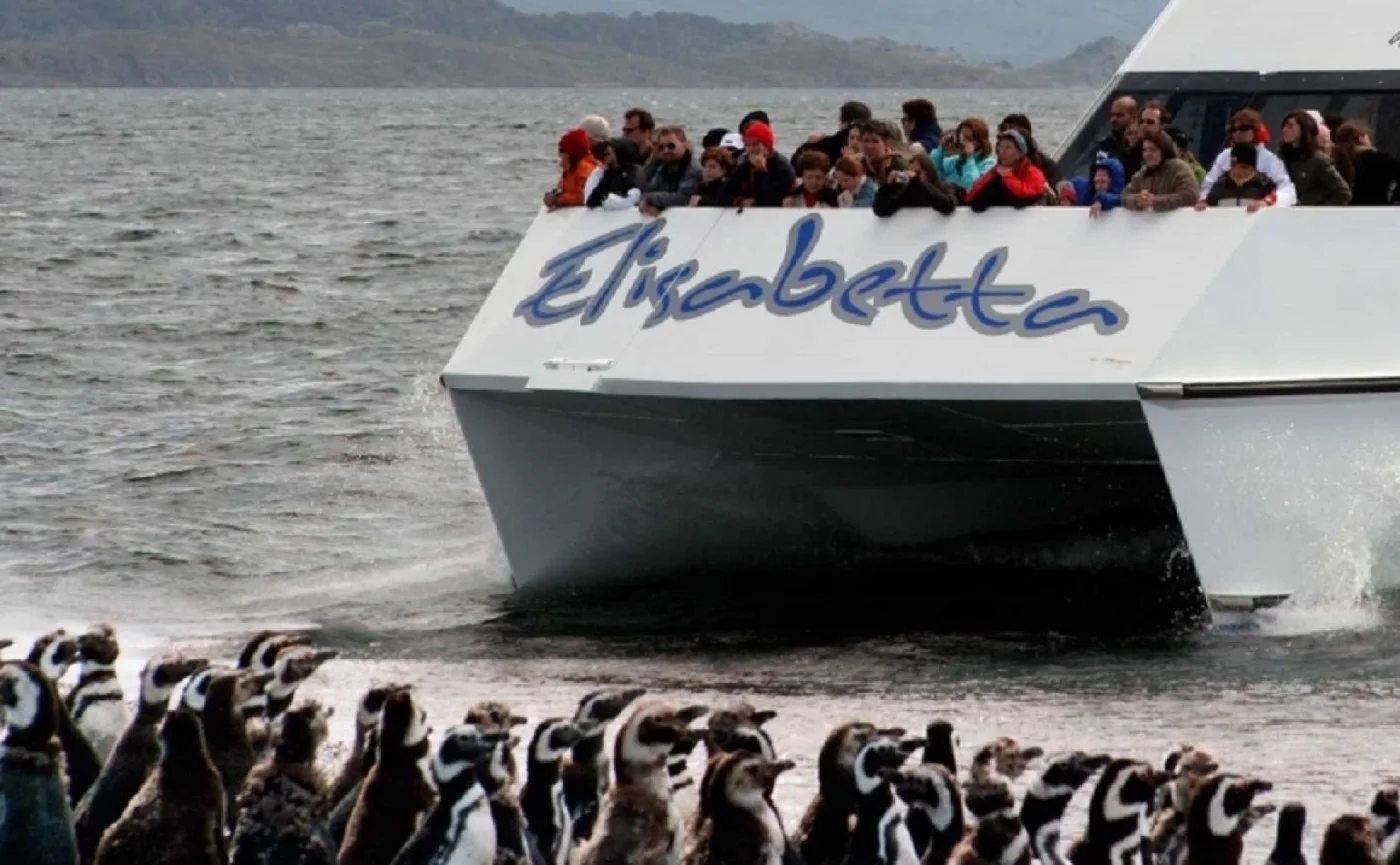 Catamarán Elizabetta