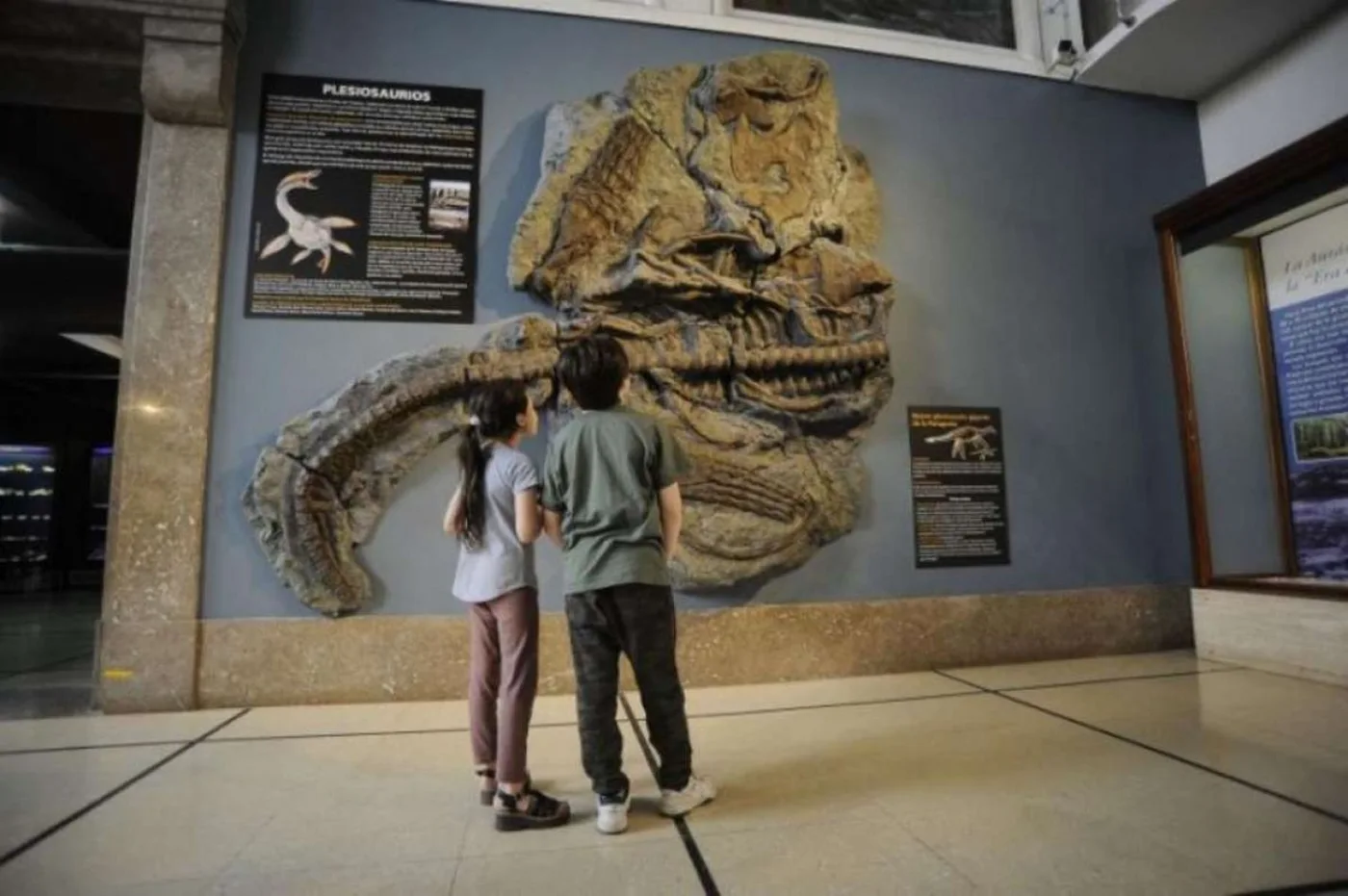 Presentaron la réplica del reptil marino encontrado en El Calafate.