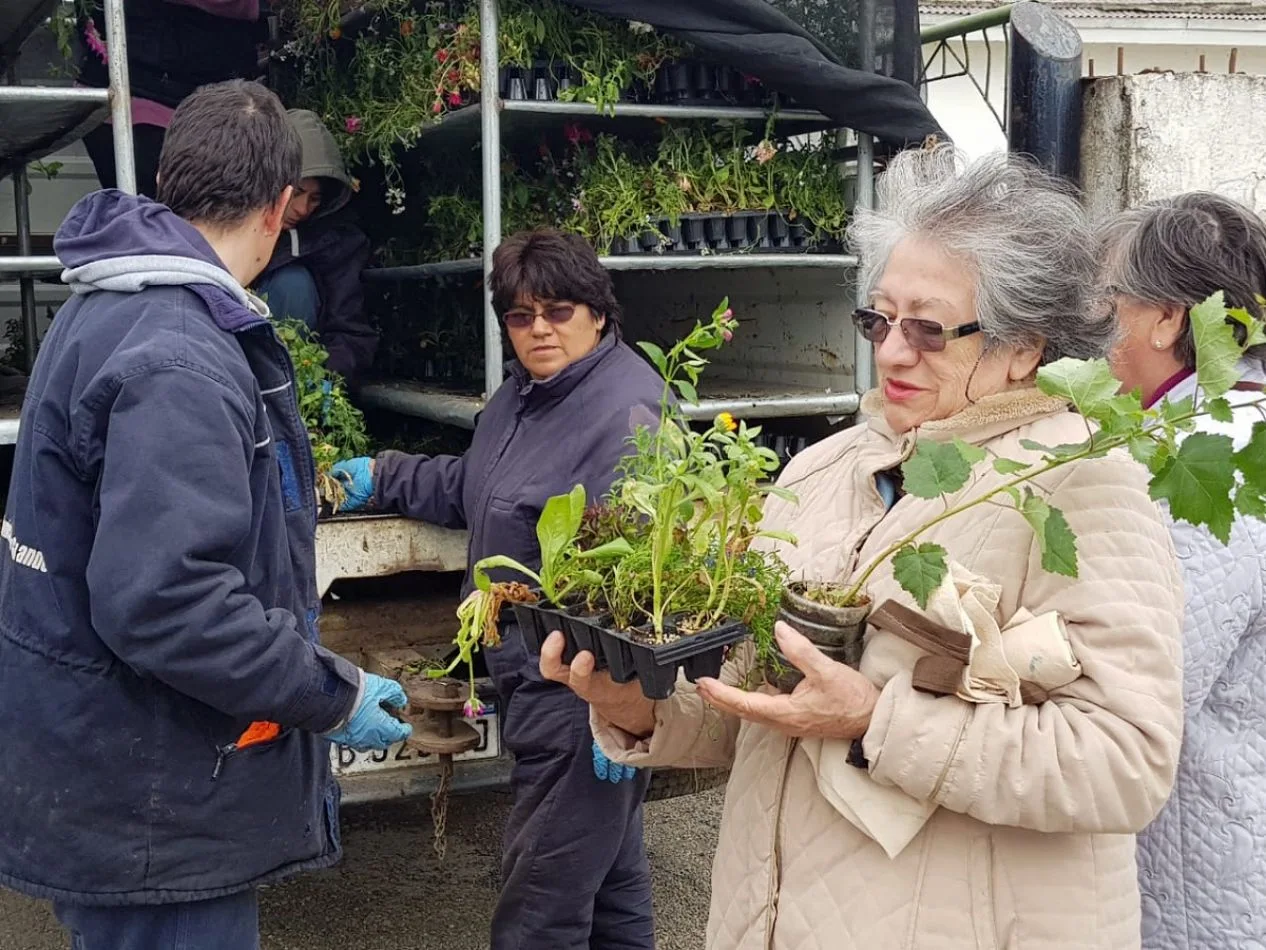 Entrega de plantines