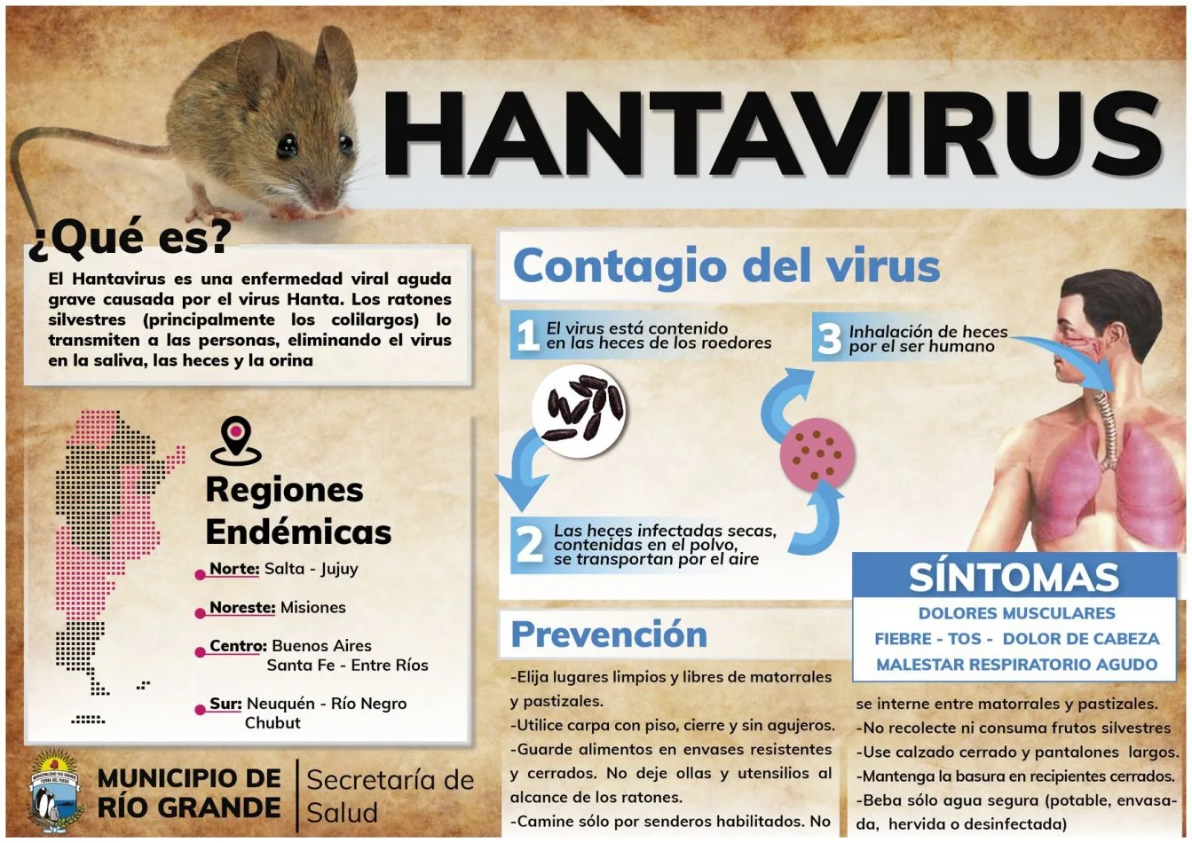Medidas de prevención Hantavirus