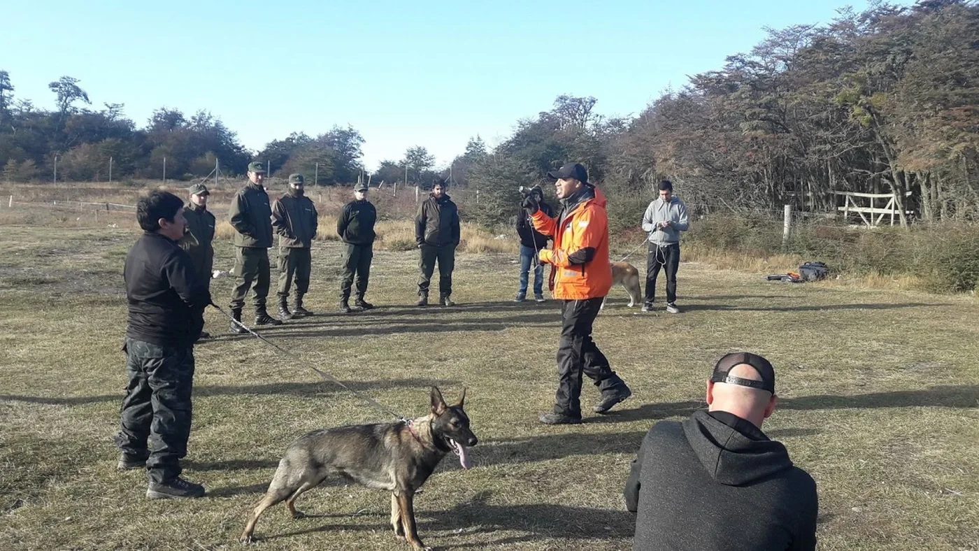 Entrenan perros para rescate en Tolhuin