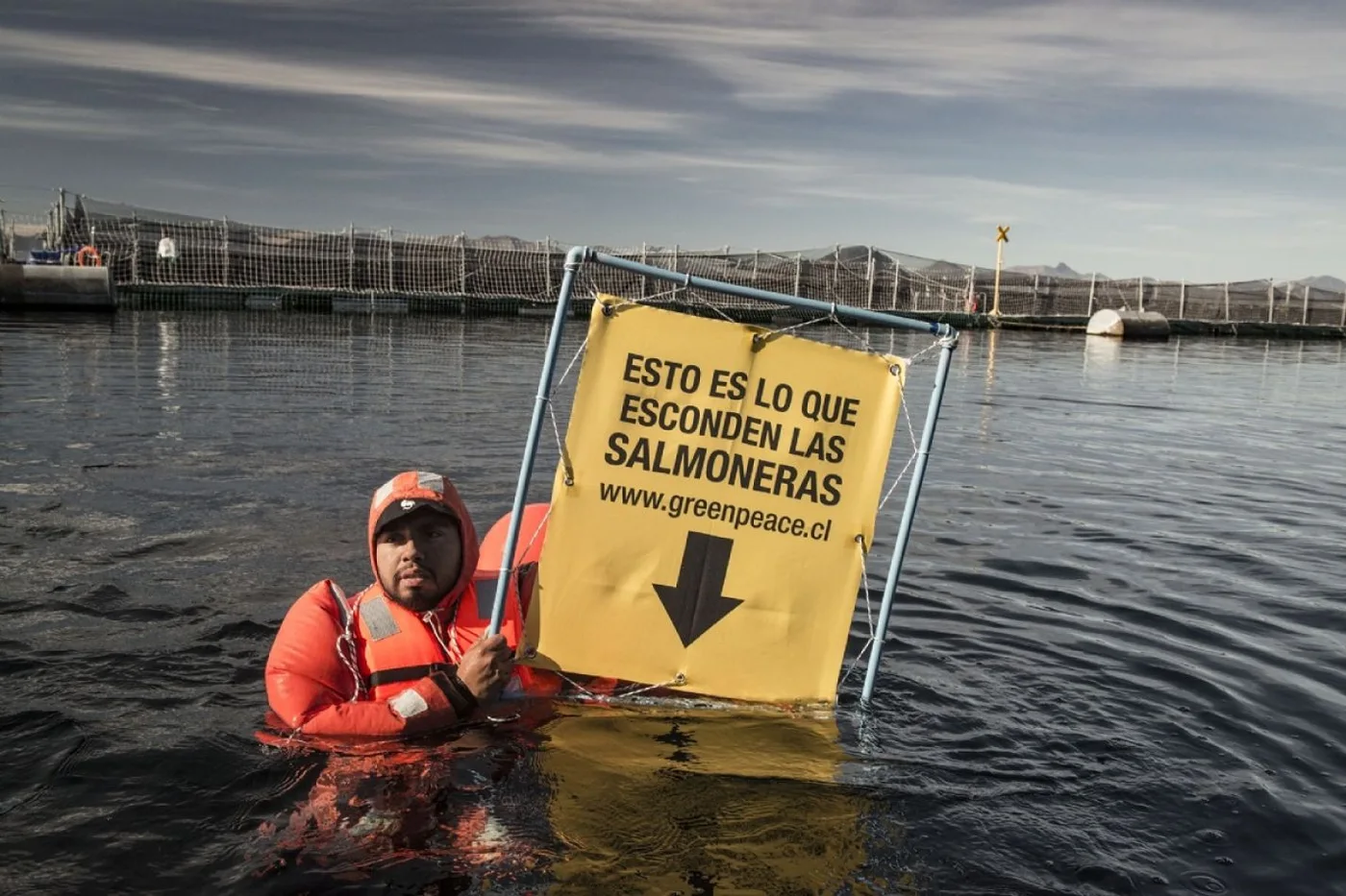Para Greenpeace “el salmón se convertirá en verdugo de los peces del Mar Argentino”