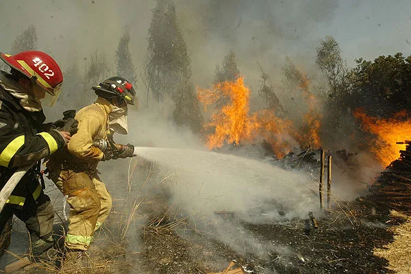 El fuego ya consumió 850 hectáreas de bosque fueguino.