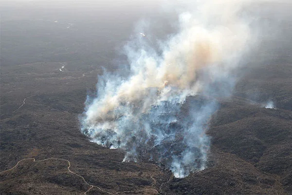 Afortunadamente, el incendio en estancia Carmen dejó de avanzar.