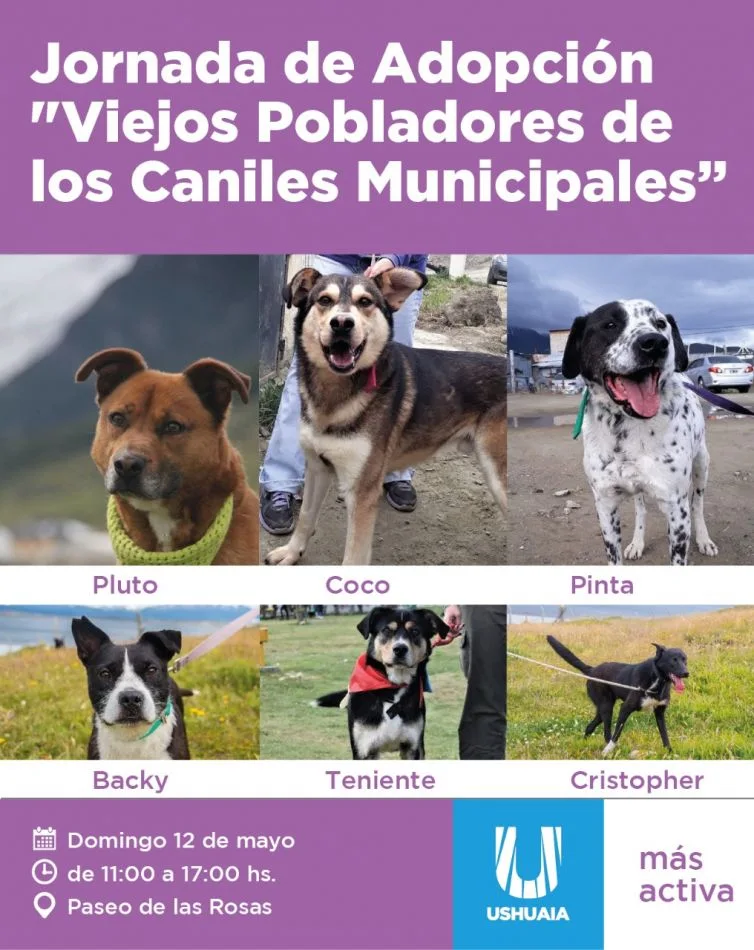 Jornada de adopción responsable en Ushuaia