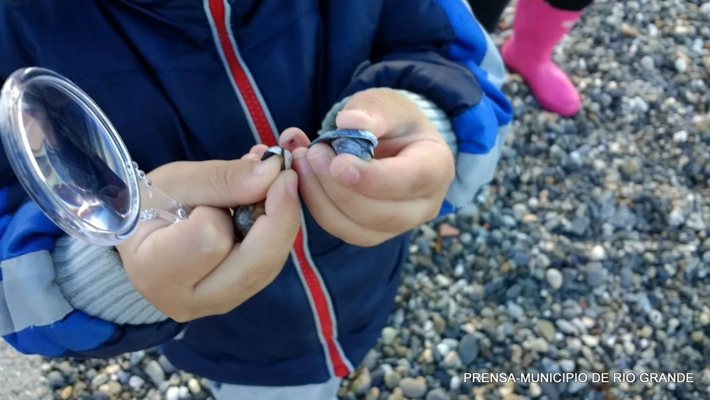 Comenzará este fin de semana con el ciclo de talleres en el Centro de Interpretación de la Reserva Costa Atlántica.