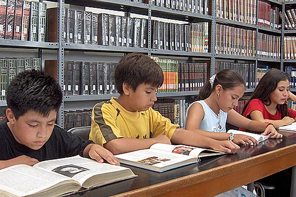 Los tres niveles educativos sumaron conocimientos de educación ambiental.