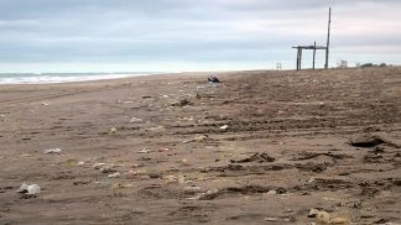 Investigan la cantidad y tipo de microplásticos hallados en especies del Canal Beagle