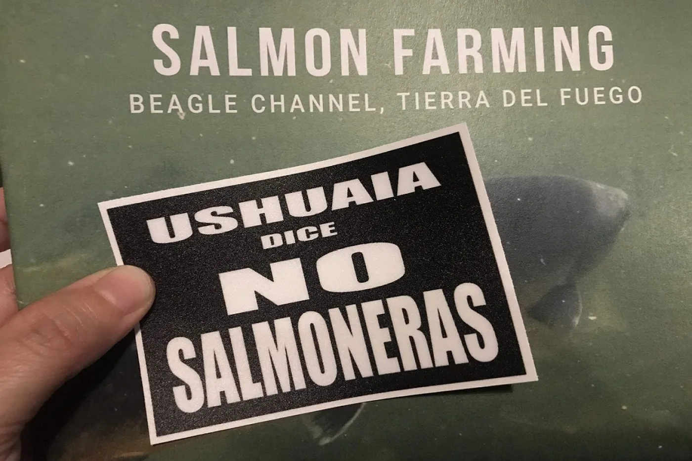 Continúan las polémicas por la cría del salmón