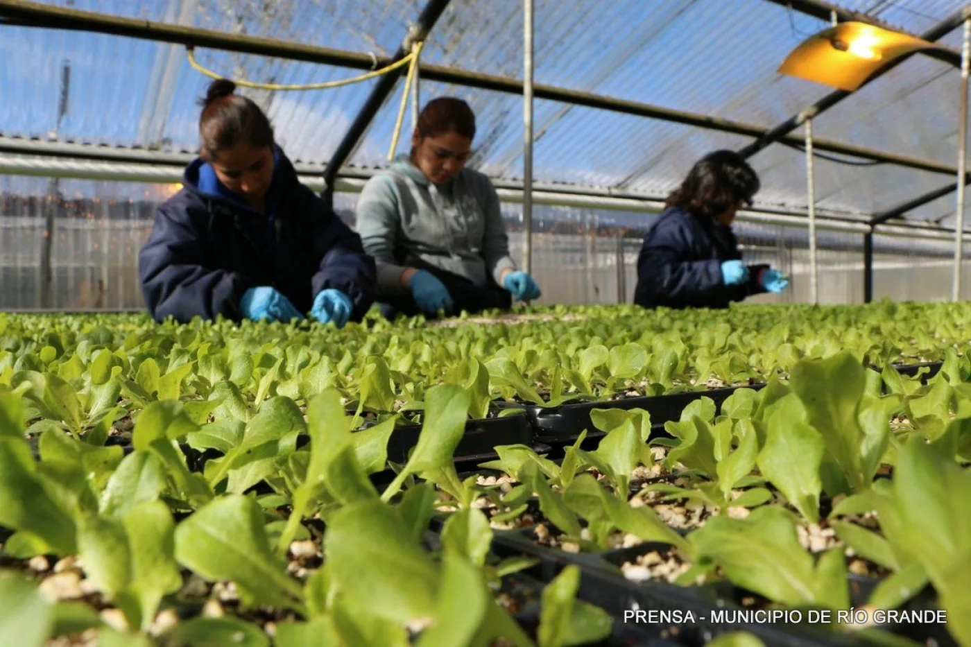 Se sextuplicó los prestamos y subsidios a productores y Pymes locales