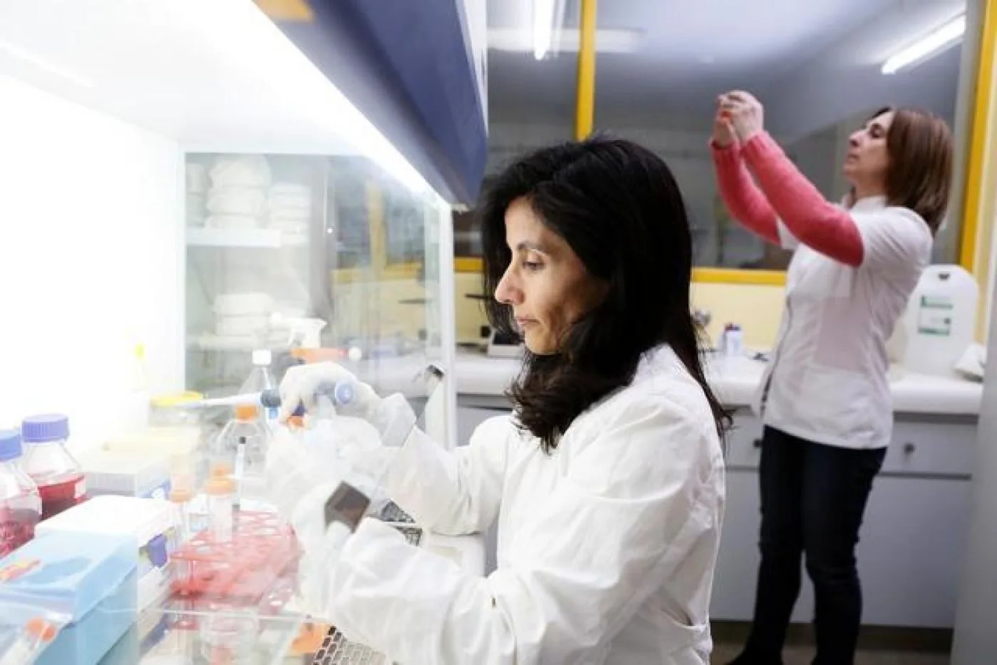 Científicos de La Plata descubren beneficios de la curcumina para tratar el cáncer