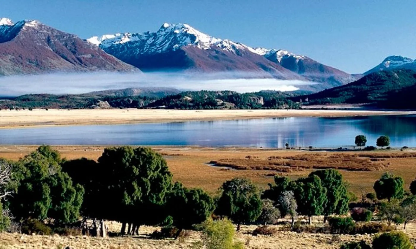 Alerta por el impacto del cambio climático en los bosques patagónicos