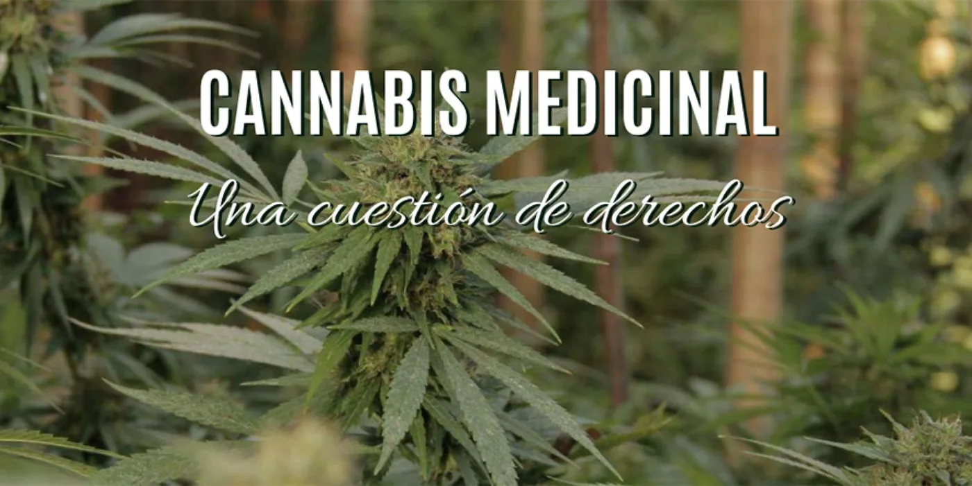 La Defensoría de la Nación presenta un libro sobre cannabis medicinal