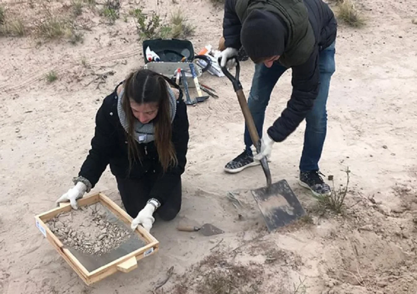 Hallan restos fósiles de un cocodrilo en la Universidad del Comahue