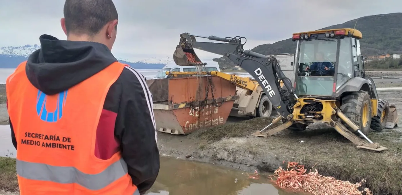 La Municipalidad de Ushuaia retiró centolla en descomposición de la costa del Canal Beagle