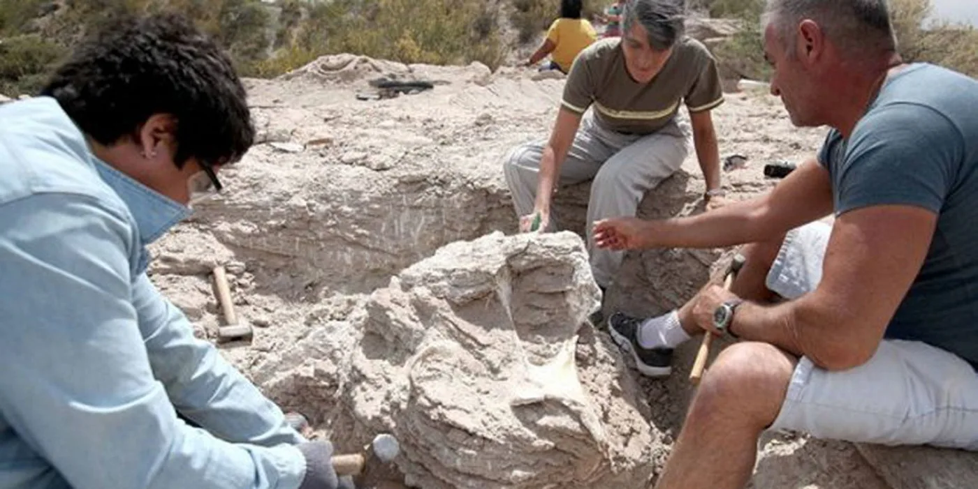 Hallan restos fósiles de un Titanosaurio de 85 millones de años