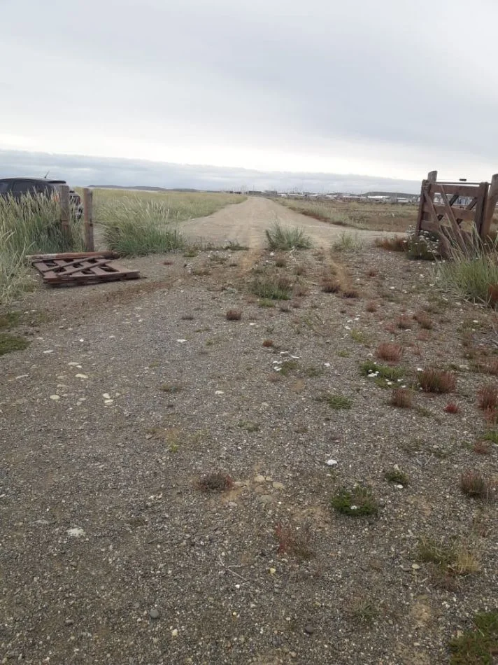 Hechos vandálicos en la reserva Punta Popper
