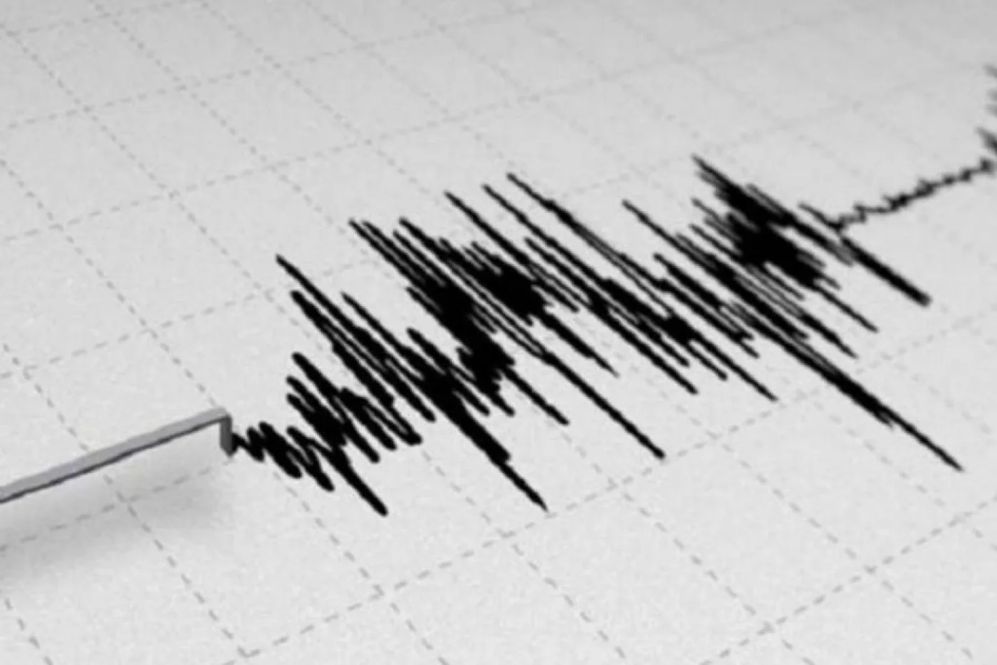 Un sismo hizo temblar a San Martín de los Andes