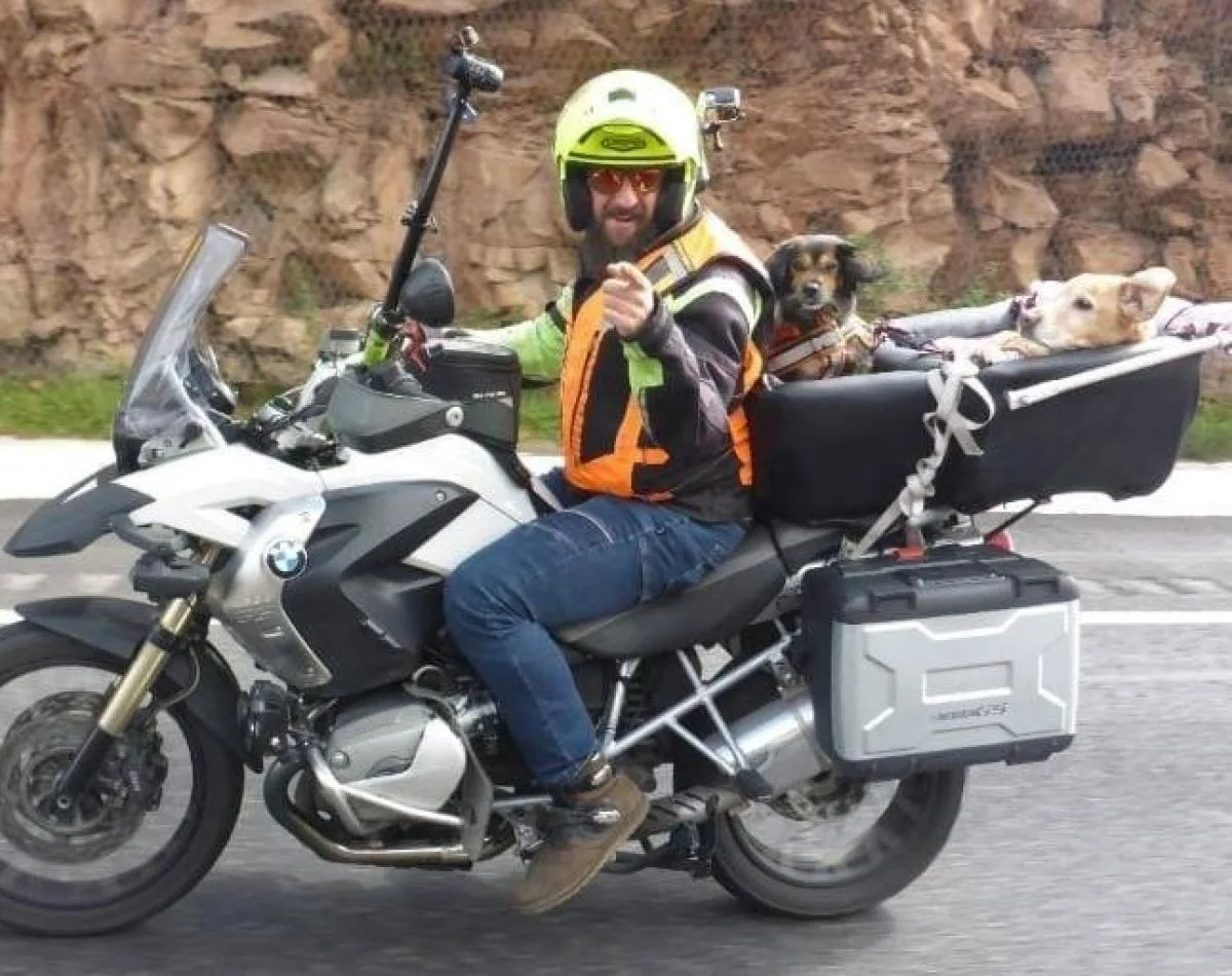 Un mexicano viaja con sus dos perras rumbo a Ushuaia
