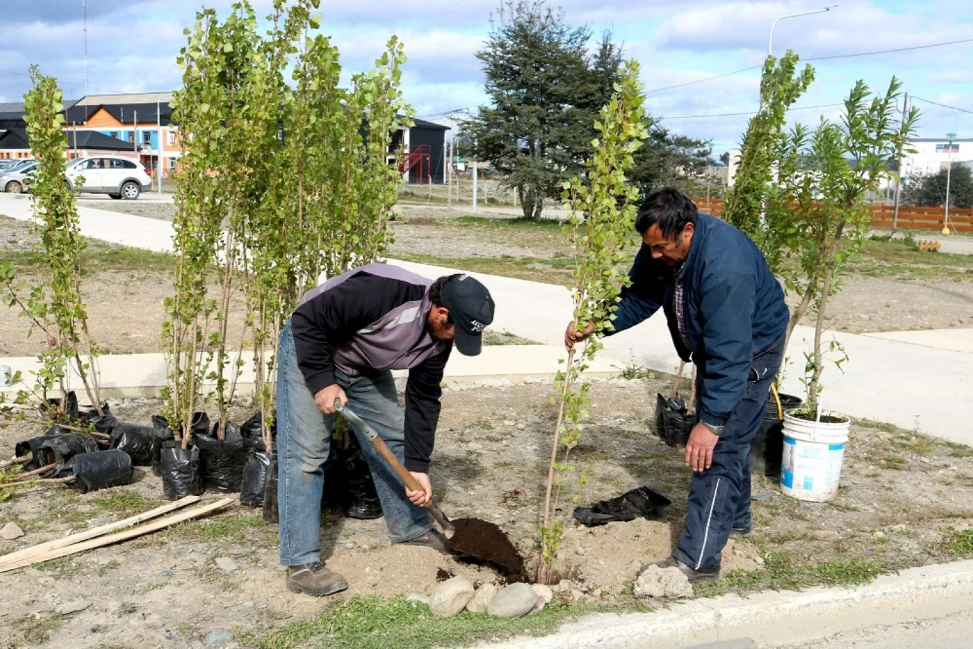 Parques y Jardines de Tolhuin desarrolló trabajos de embellecimiento