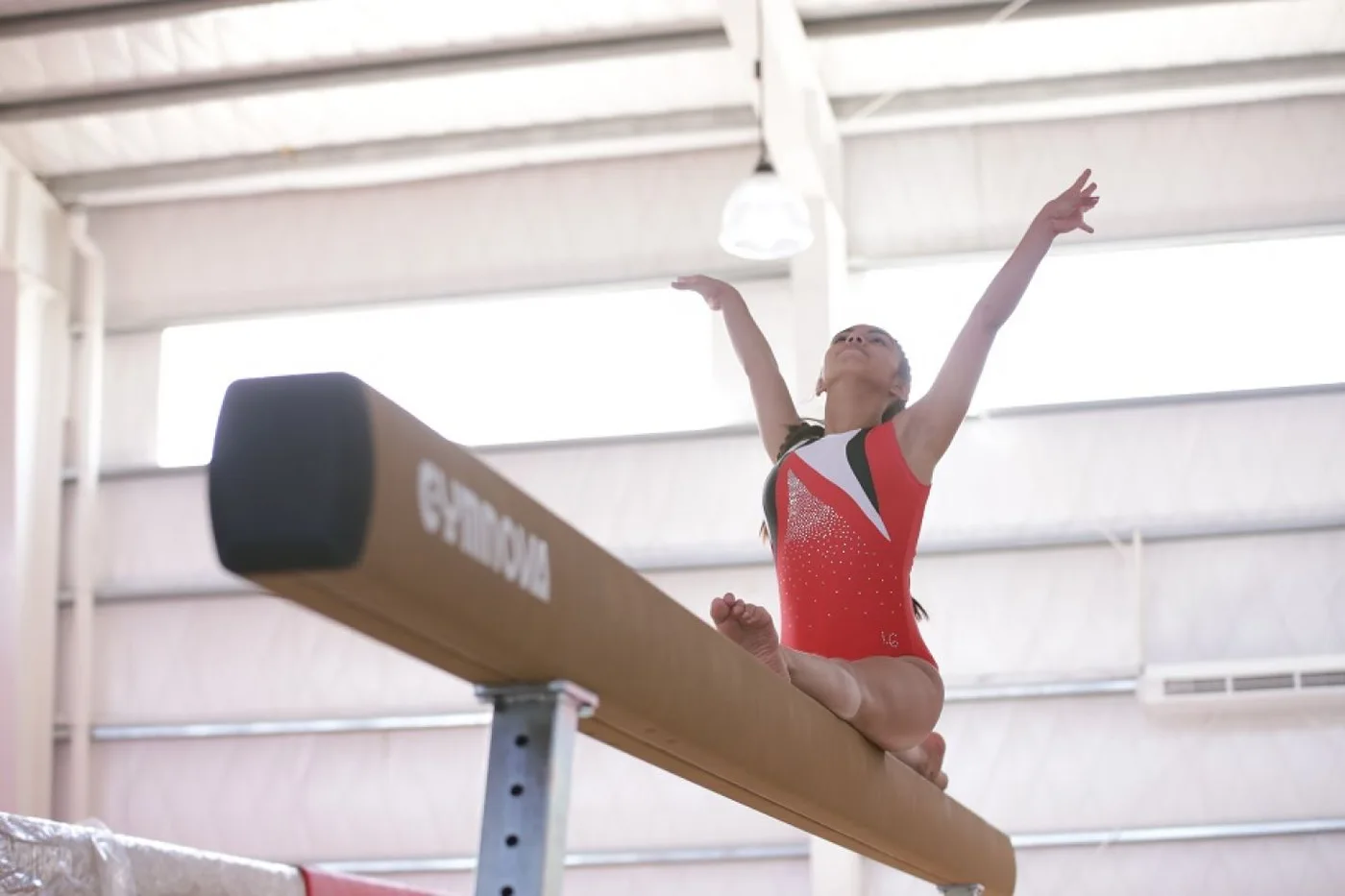 Río Grande será sede de una histórica capacitación en gimnasia artística