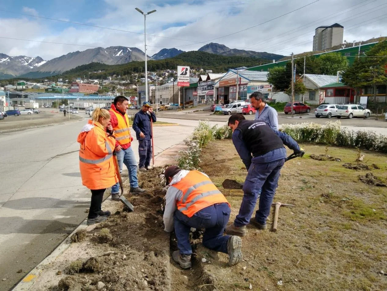 Medio Ambiente Muncipal continúa con la limpieza de espacios de uso comunitario