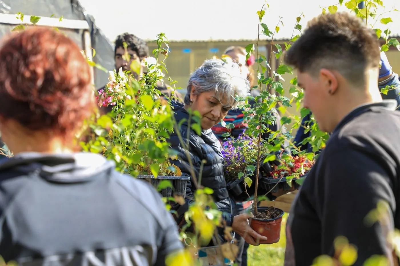 El Municipio entregó más de 130 mil plantines durante la temporada de verano