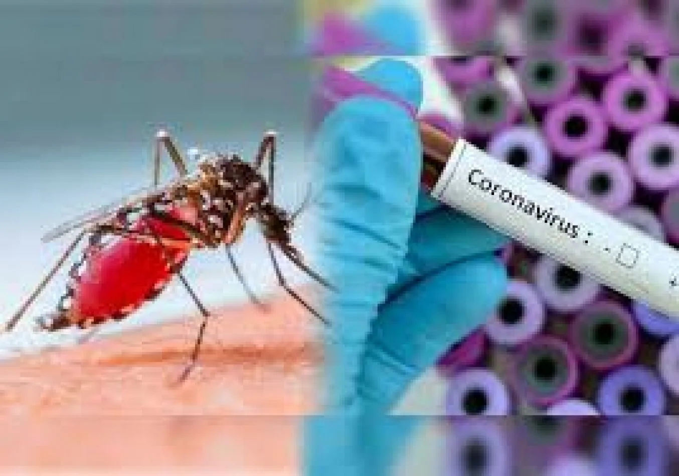 preocupación sanitaria en la provincia de Córdoba por los casos de dengue y coronavirus.
