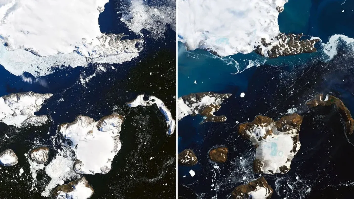 La Antártida está perdiendo su color blanco tan característico
