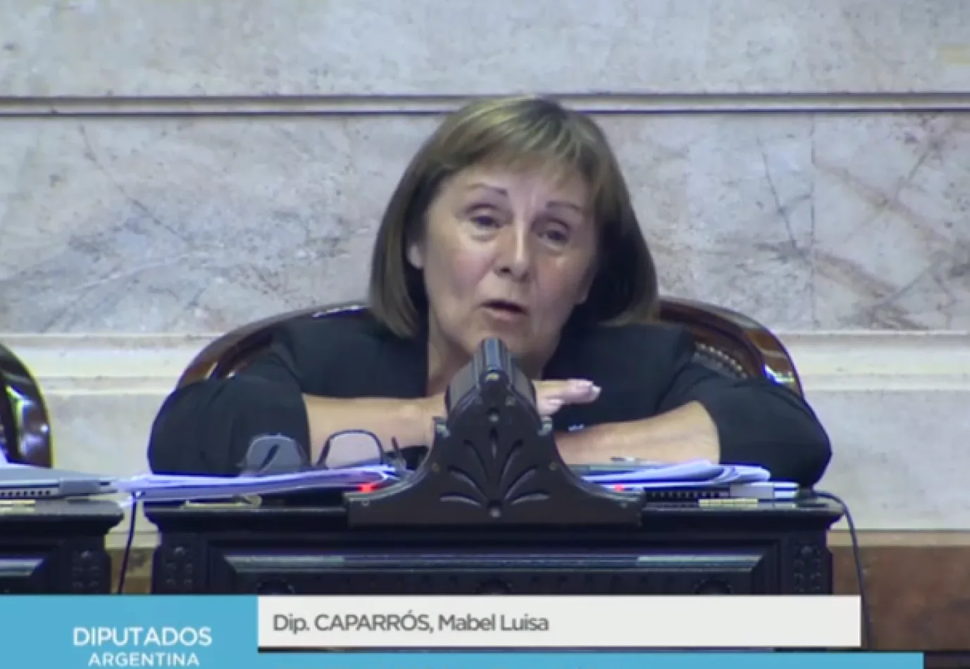 Diputada Nacional, Mabel Caparros
