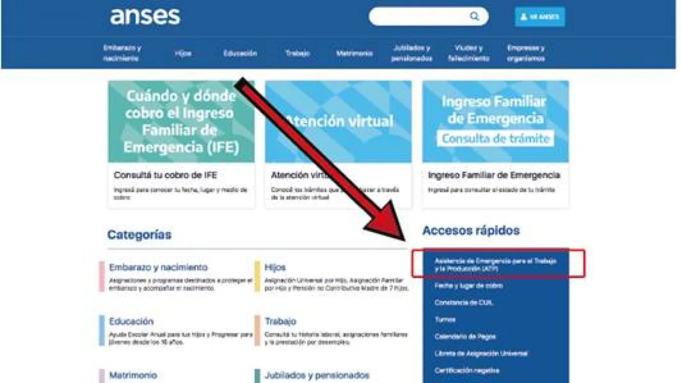 Anses habilita comsultas online para ATP