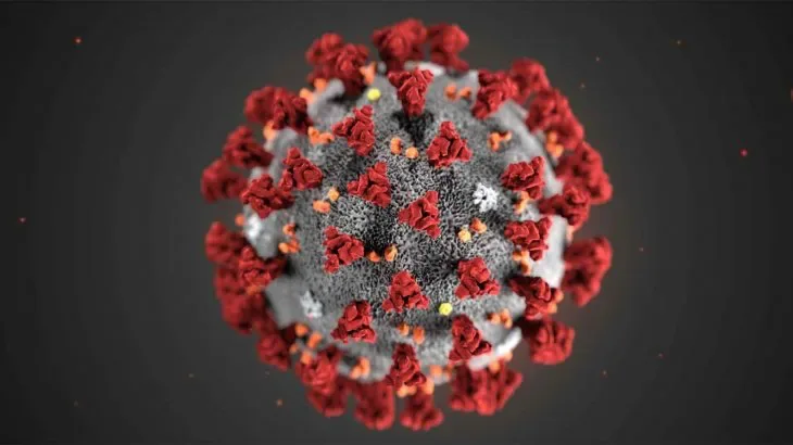 Coronavirus: nuevo récord diario de 345 casos en todo el país