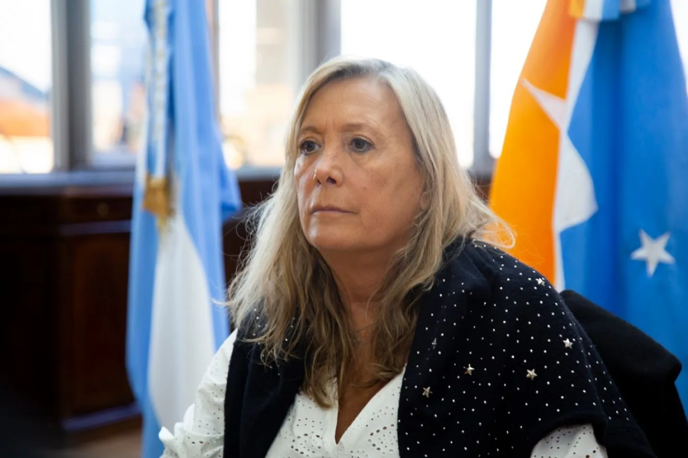 La ministra de Gobierno Justicia y Derechos Humanos Adriana Chapperón .