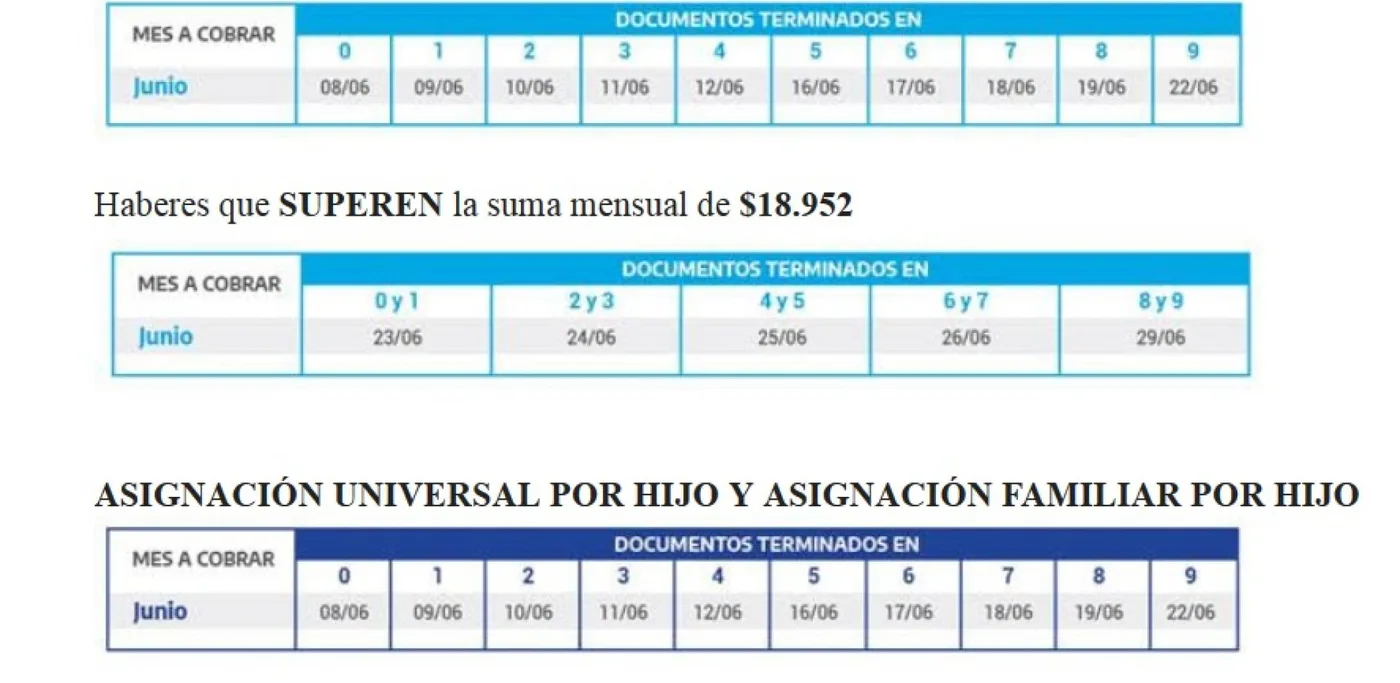 ANSES: Calendarios de pago de junio