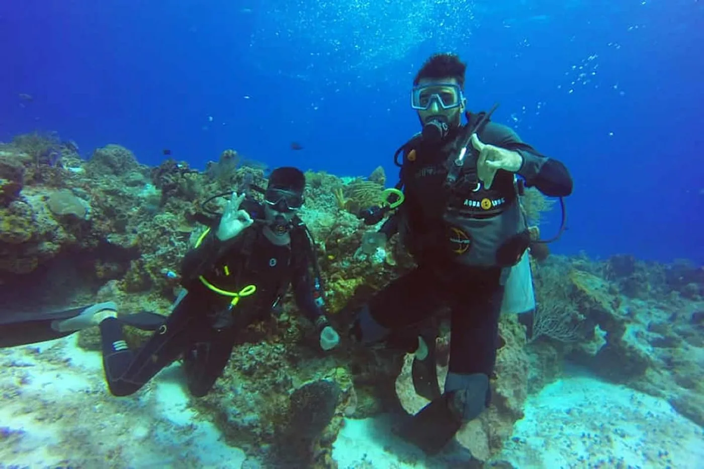 Puerto Madryn habilitó la práctica del buceo