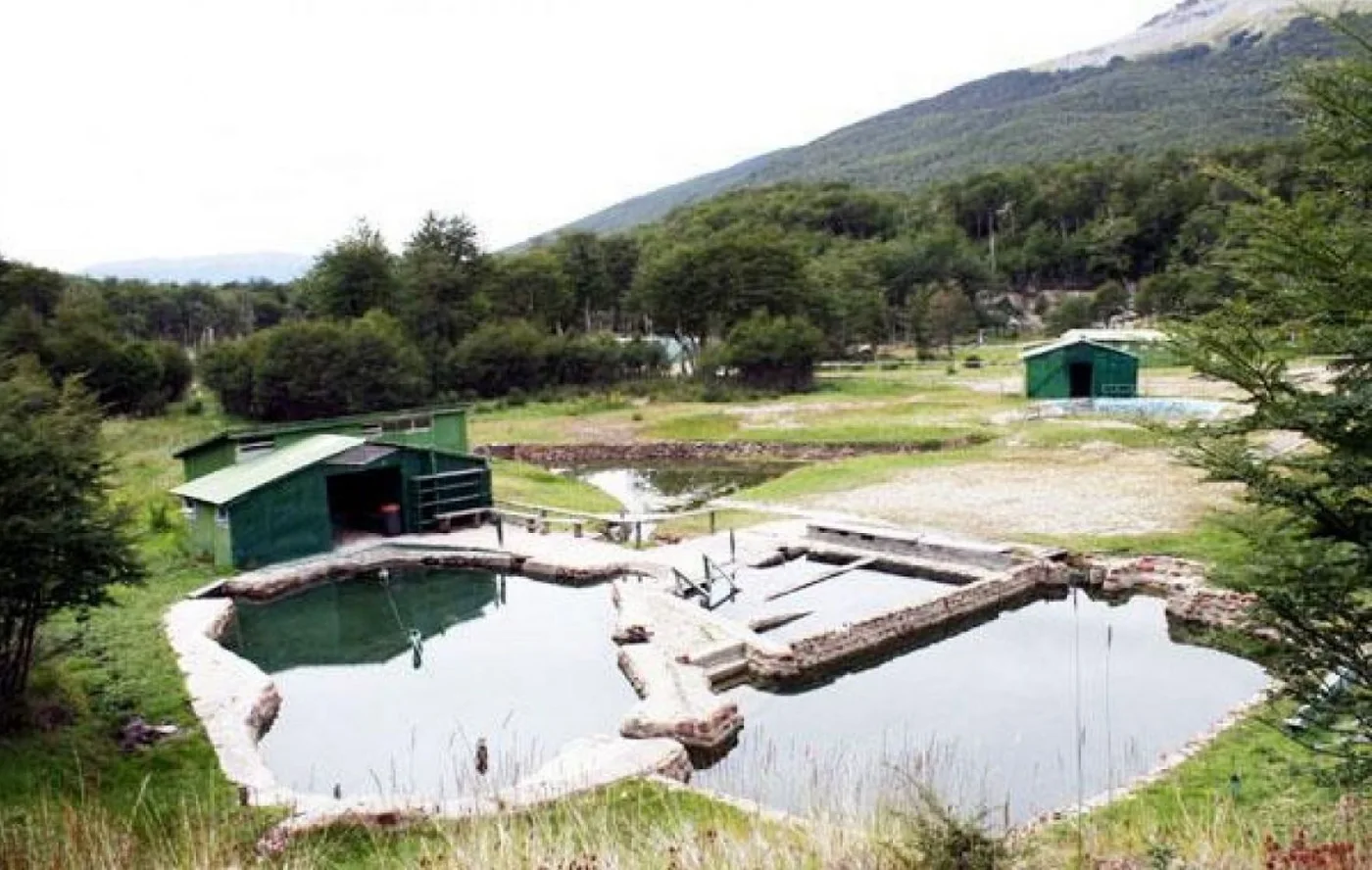 Termas del Valdez.